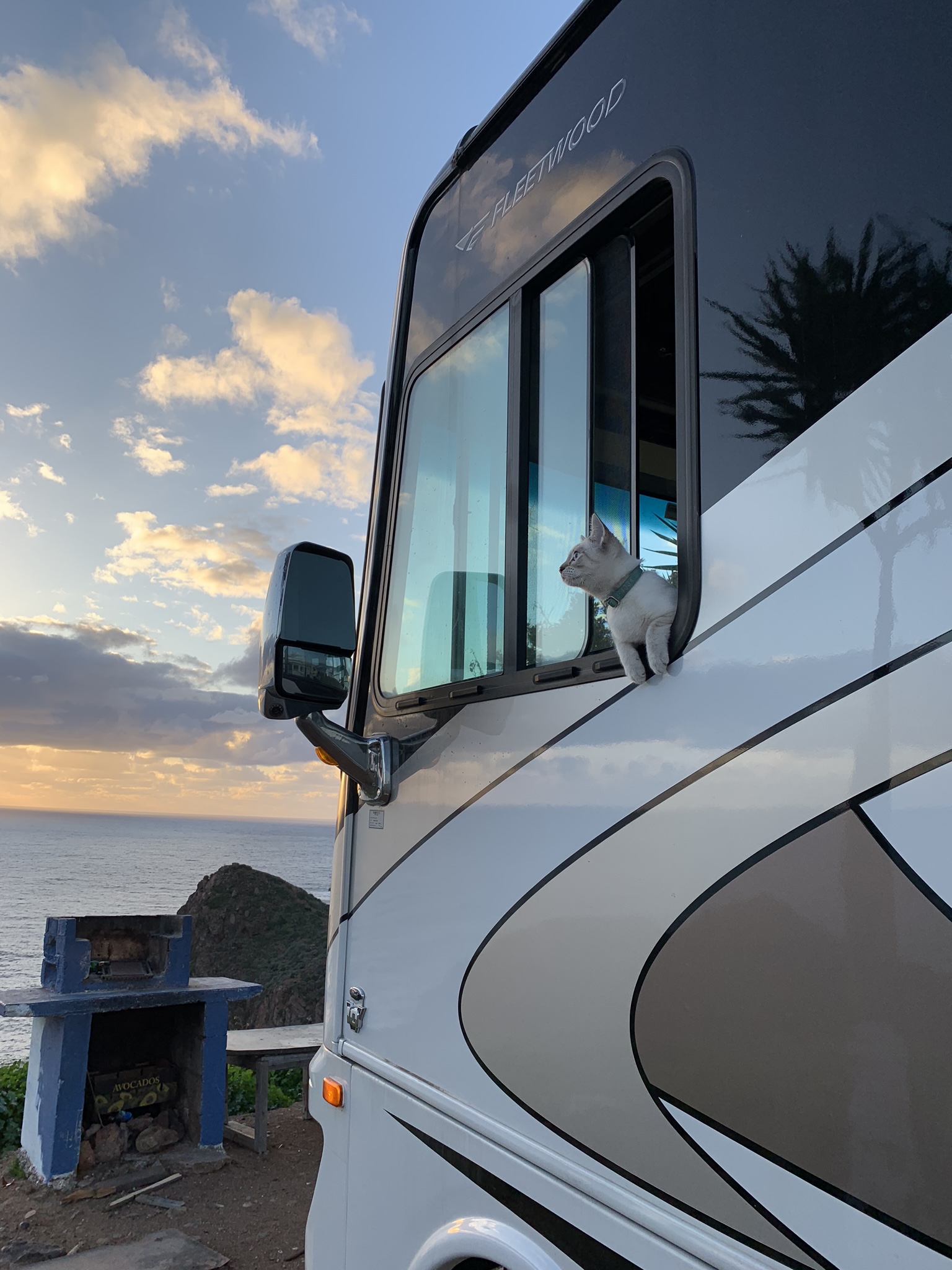 RV Tankless Hot Water Heaters - 7 Things You Need To Know | RVshare