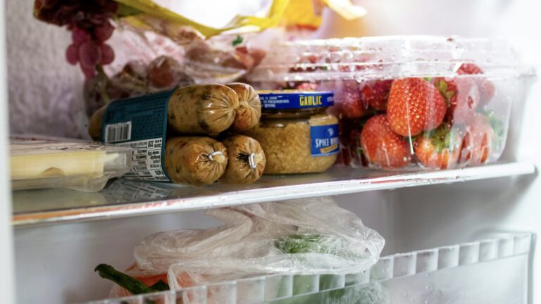 Food inside Norcold RV refrigerator