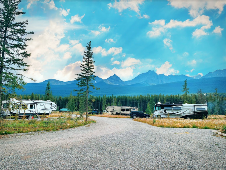 trailers and RVs parked at a campground