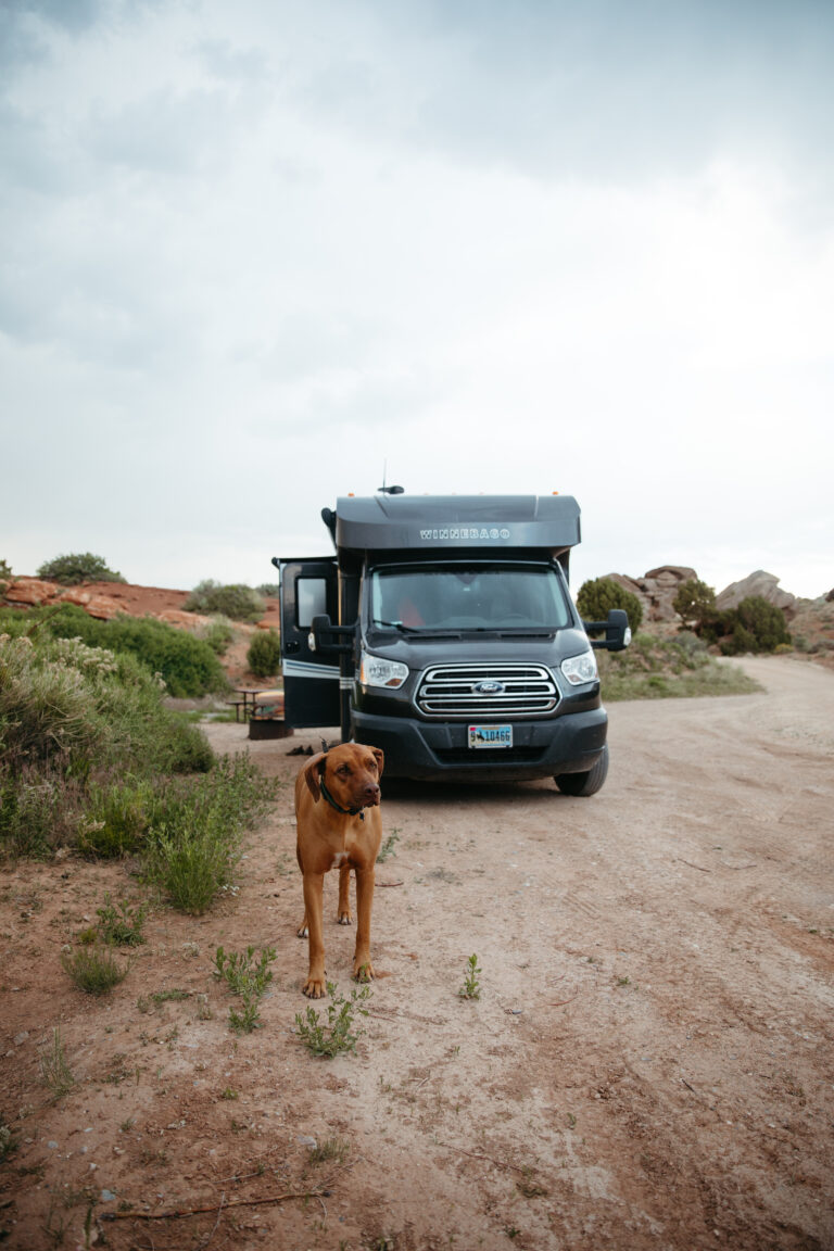 a dog in front of a Class C caper with slide outs