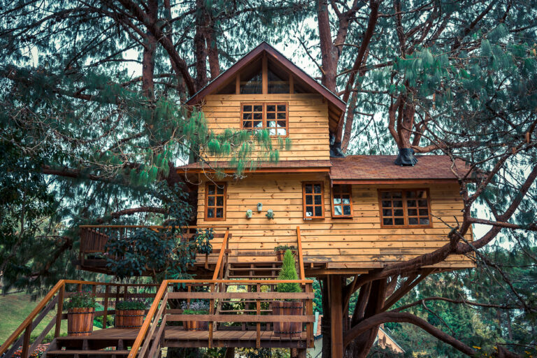 a fancy tree house