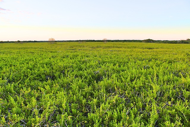 Everglades National Park