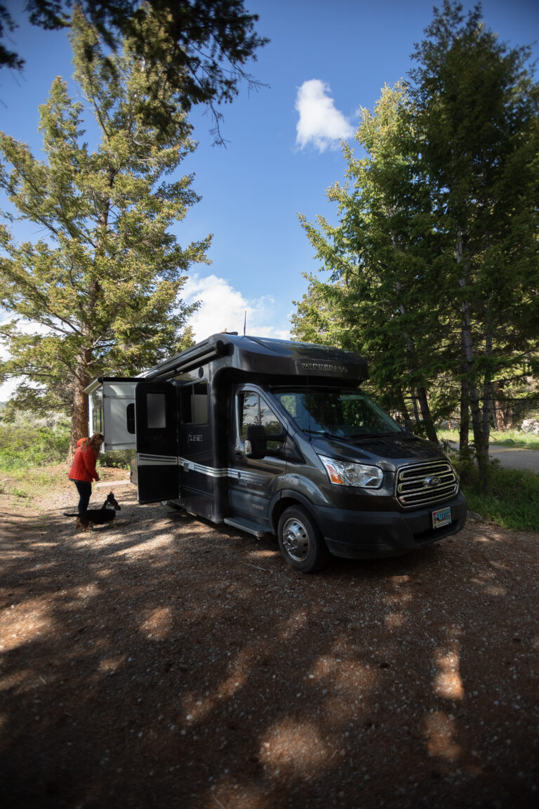 an RV parked under a tree