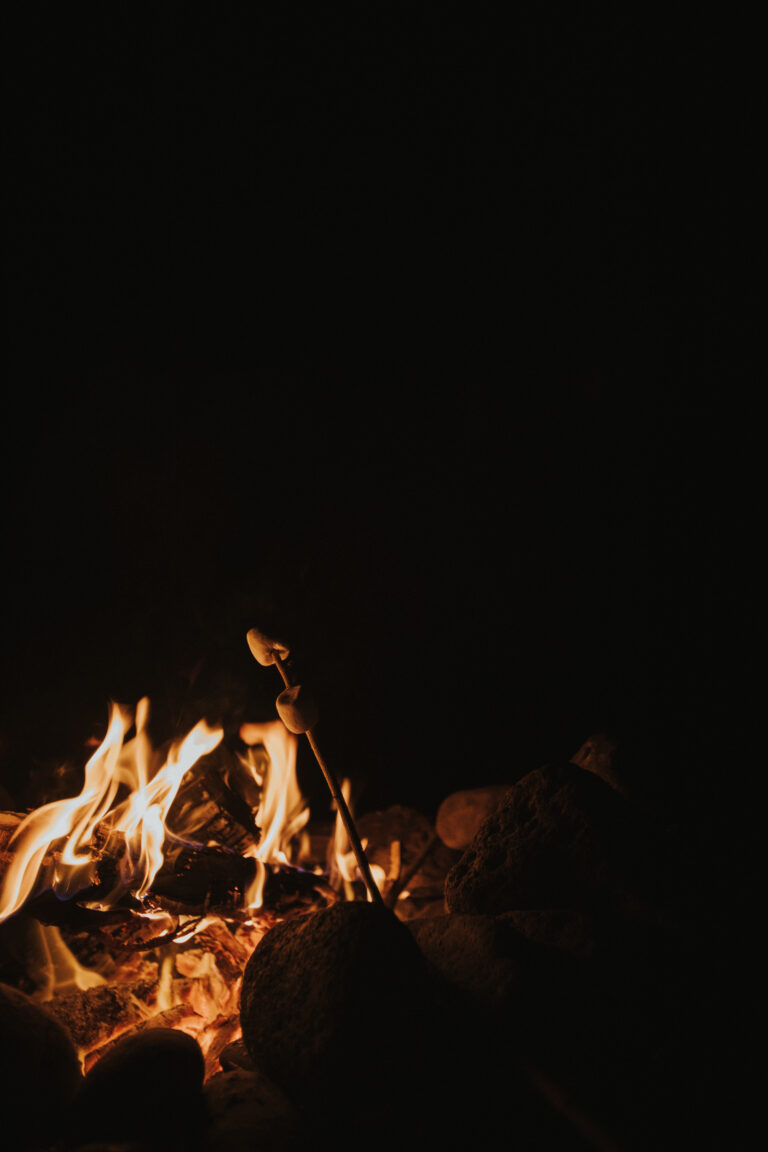 roasting marshmallows over a campfire