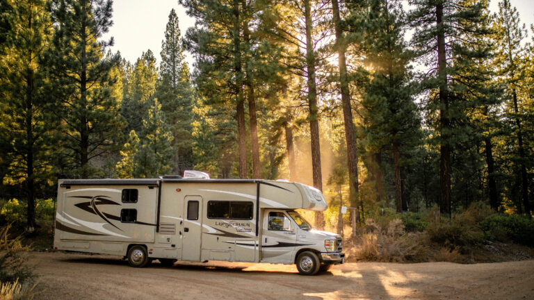 RV near a forest of trees