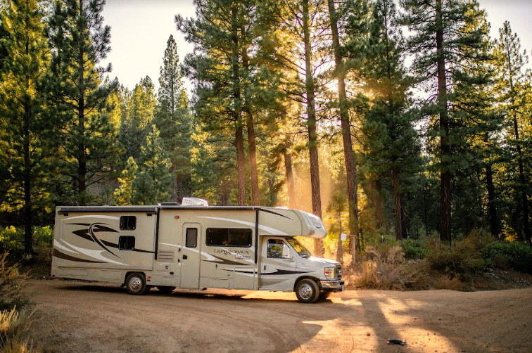 an RV in a forest