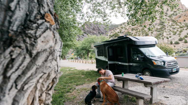 a man and dogs by a Class C camper