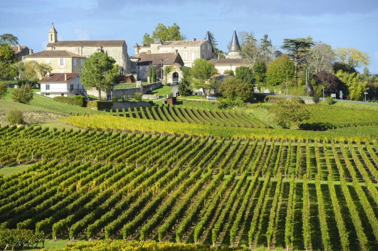 Bordeaux vineyards