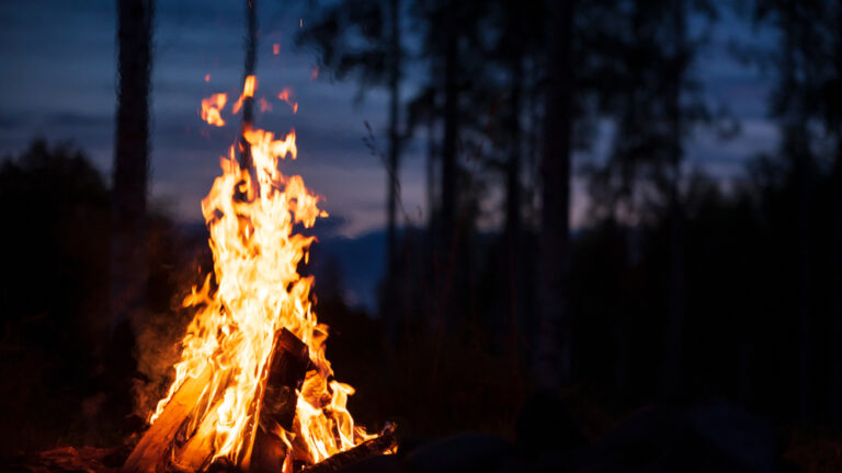 a campfire at night
