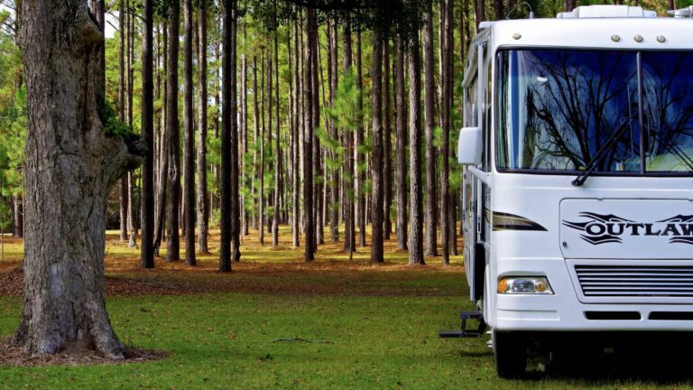 RV parked in the woods