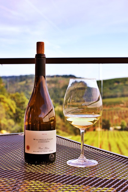 a wineglass and wine bottle looking over vineyards in the Willamette Valley