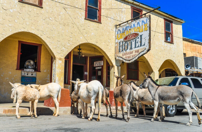 oatman arizona on rt 66