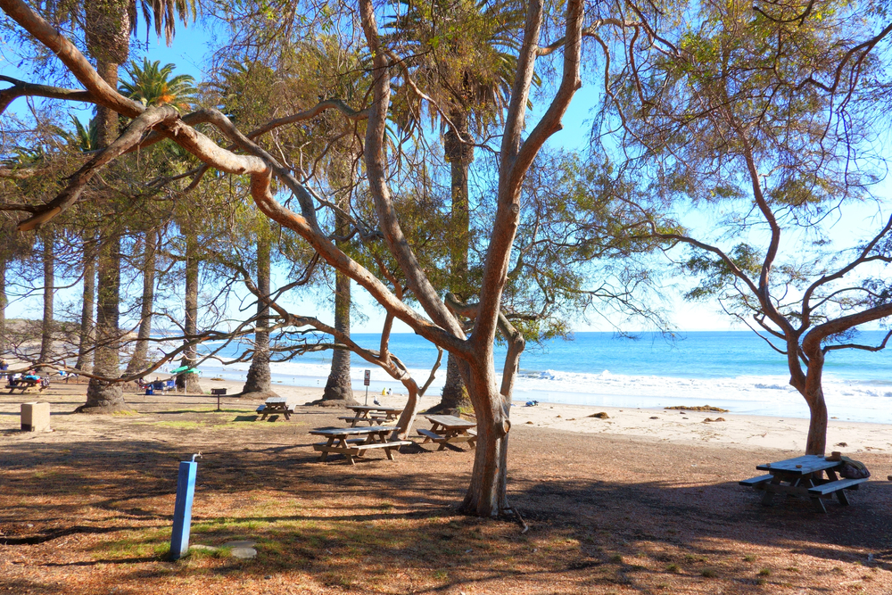 Refugio State Beach