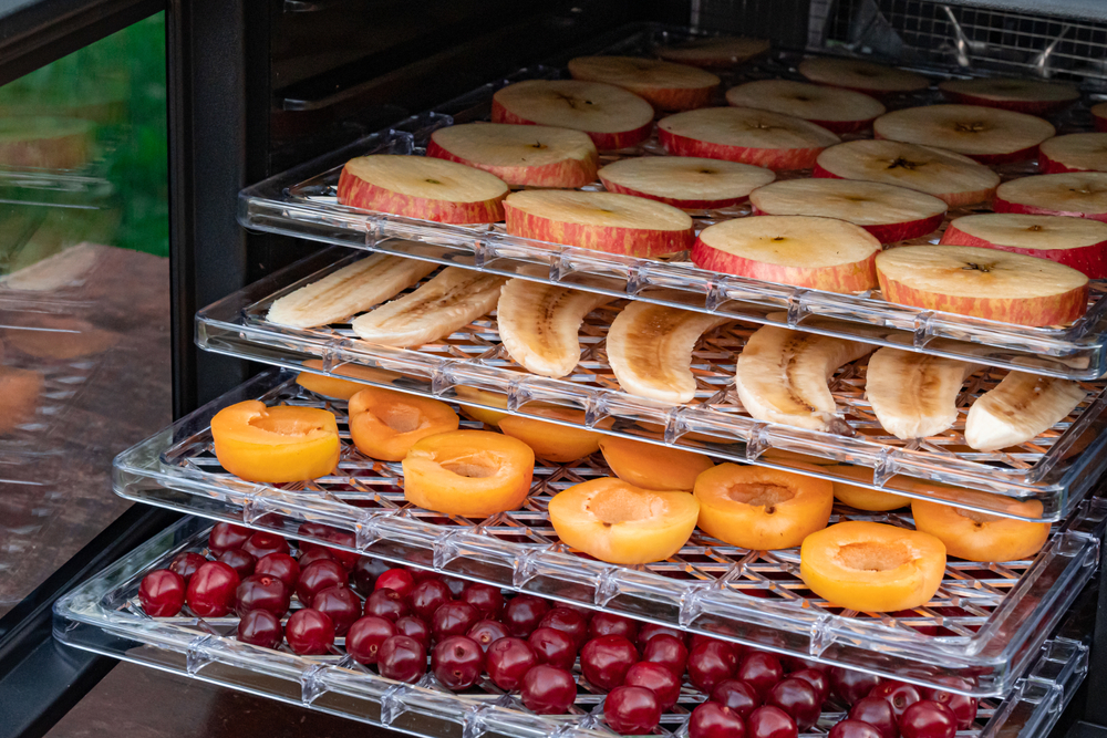 a food dehydrating machine