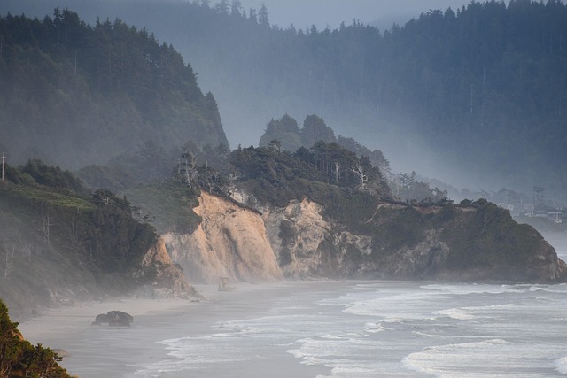 The Oregon Coast in fog