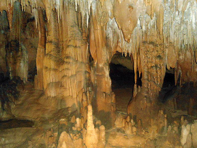 [img] Florida Caverns State Park