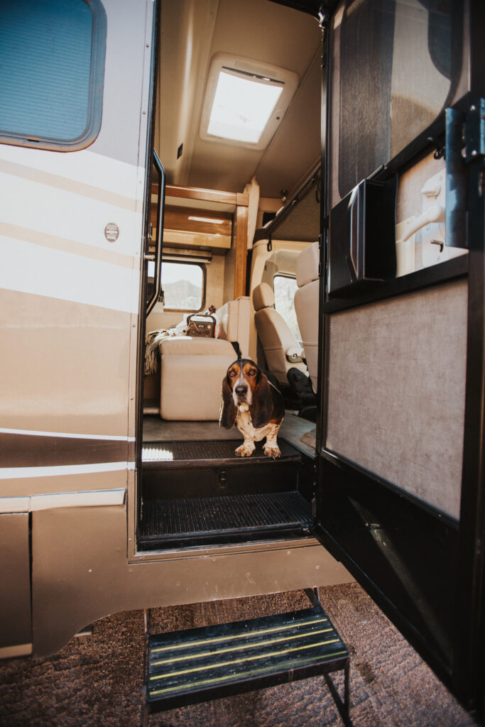 a dog standing in an RV doorway