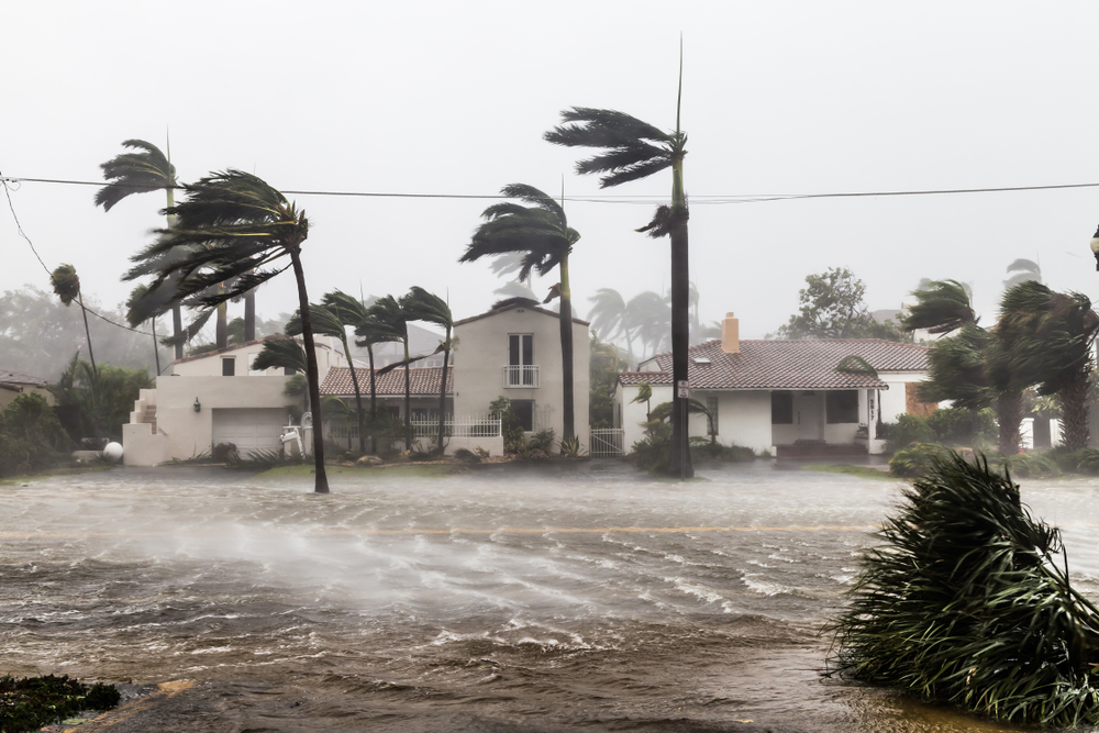 A flooded street with wind and rain from a hurricane