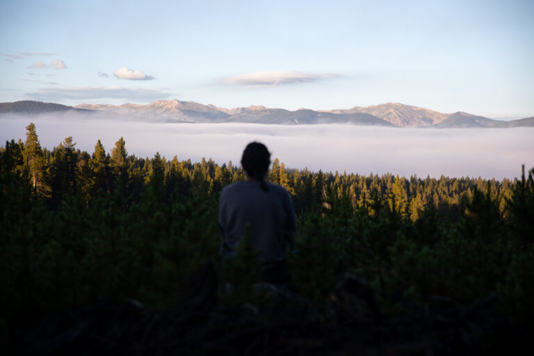 a woman looking over a misty forest