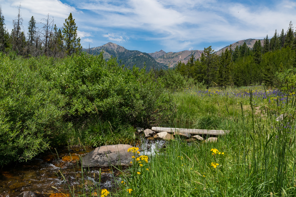 a stream near Ketchum, Idaho