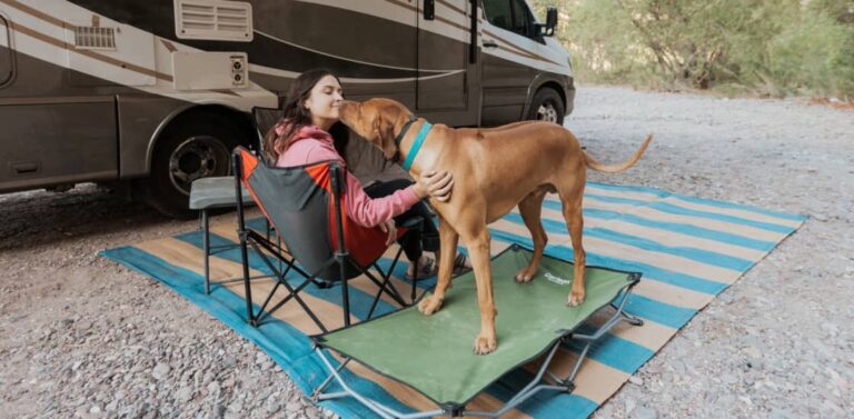 a person sitting outside their RV with a dog