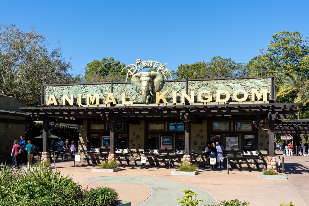 Disney's Animal Kingdom