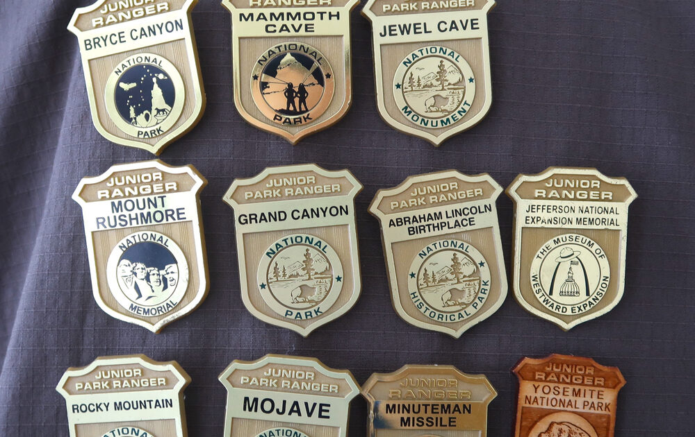 Junior Ranger badges