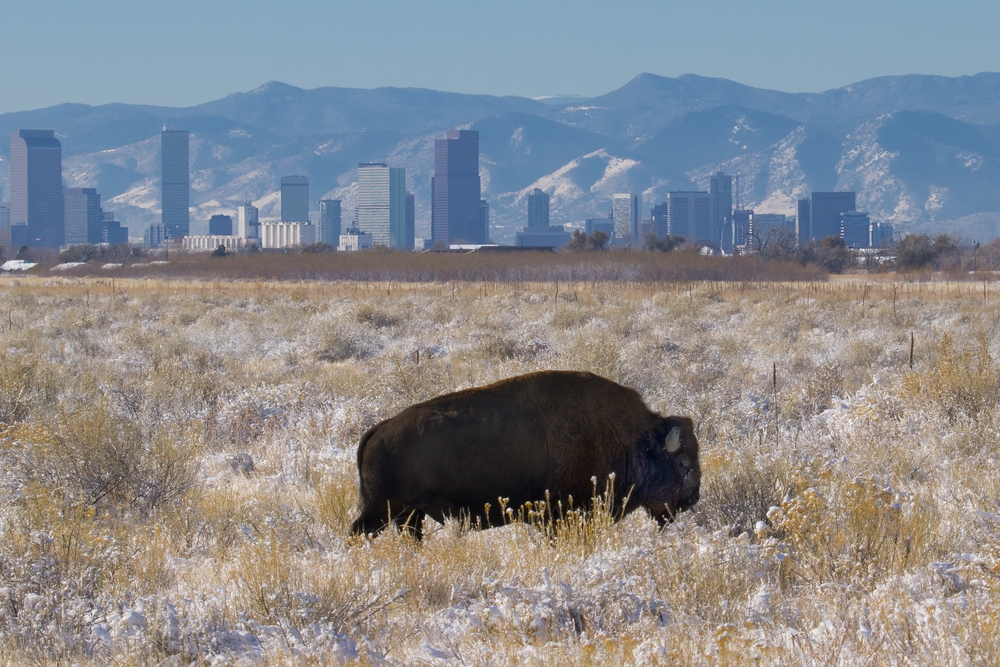 Rocky Mountain Arsenal