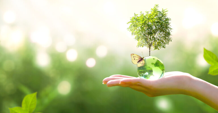 A plant sitting on a small crystal ball to celebrate Earth Day