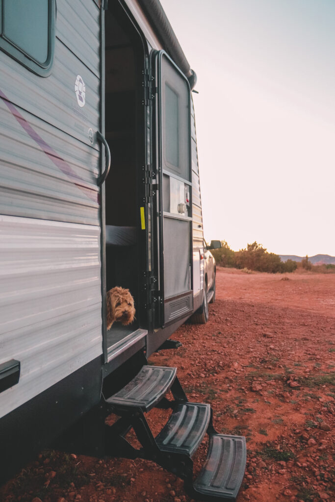 A dog peeking out of a travel trailer