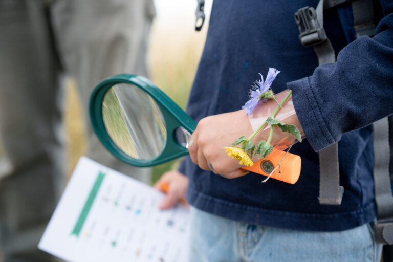 A small child with a magnifying glass