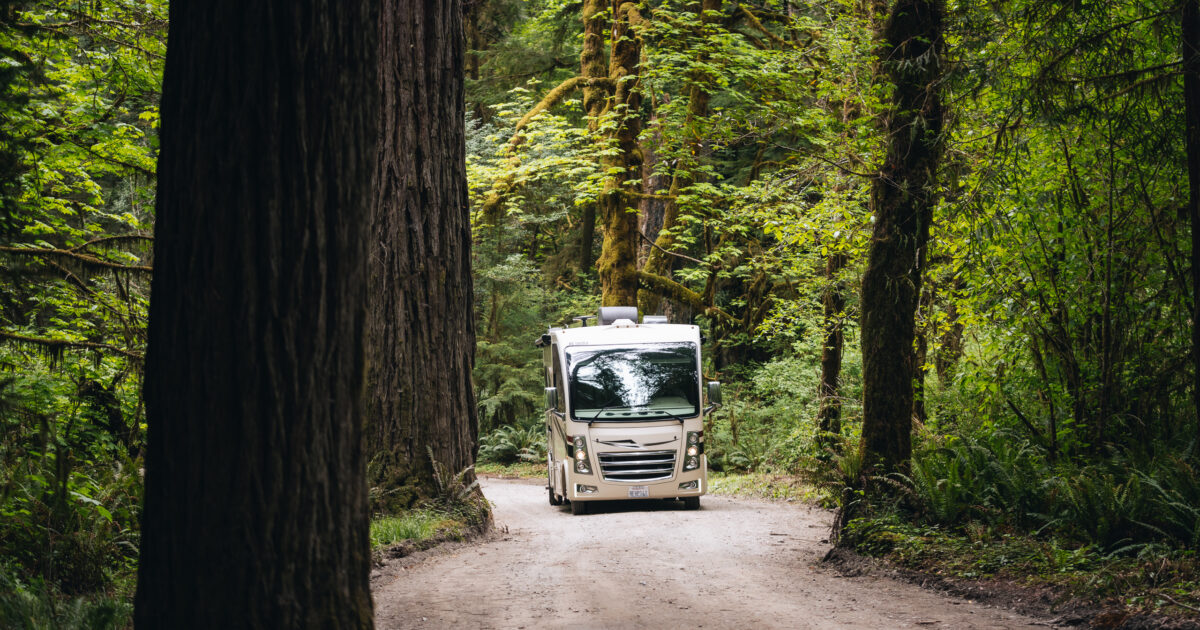 An RV on a forest road