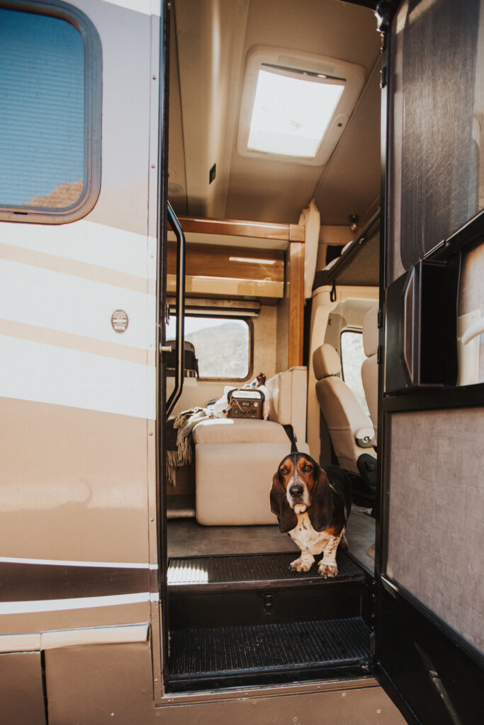 A dog looking out the door of an RV