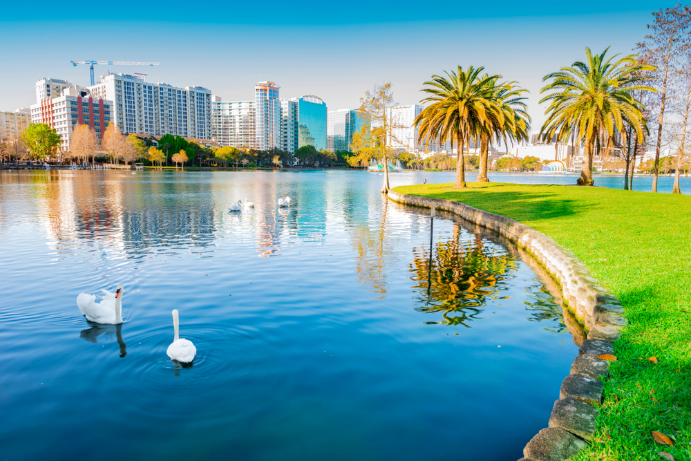 palm trees and a lake in Orlando