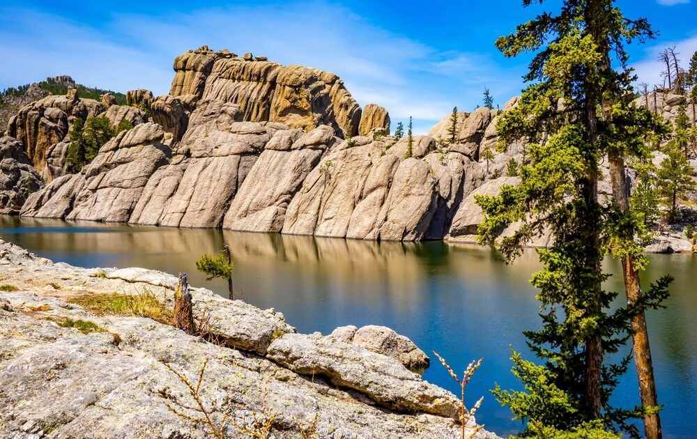 Custer State Park