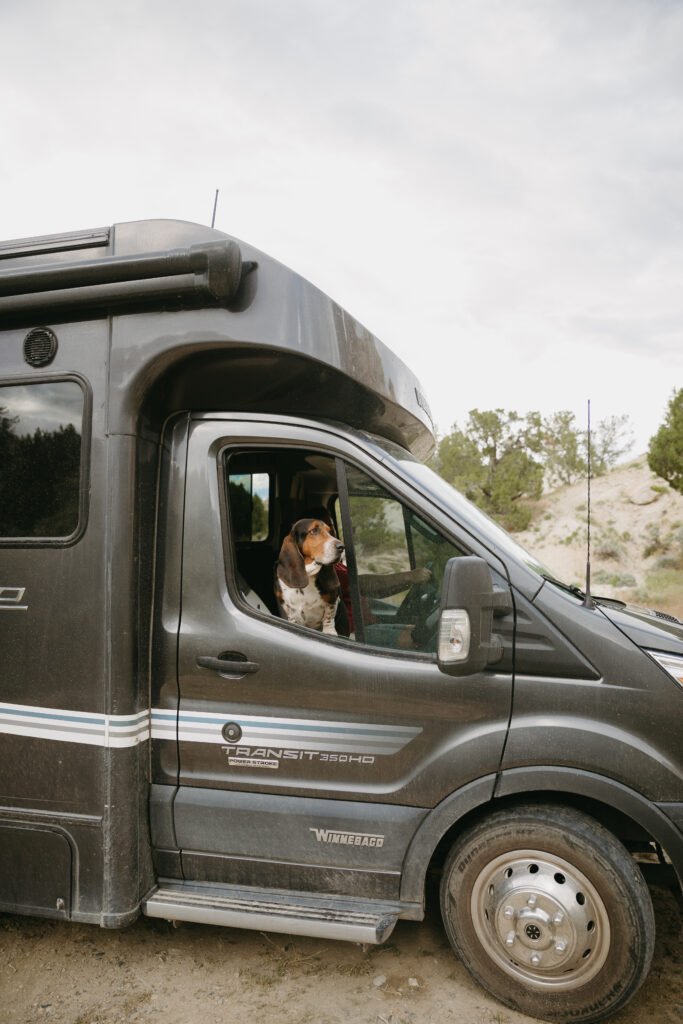 a dog inside a Class C camper