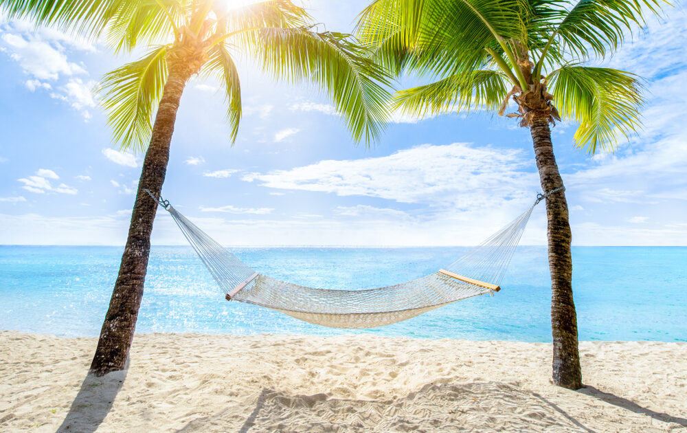 a hammock next to an ocean