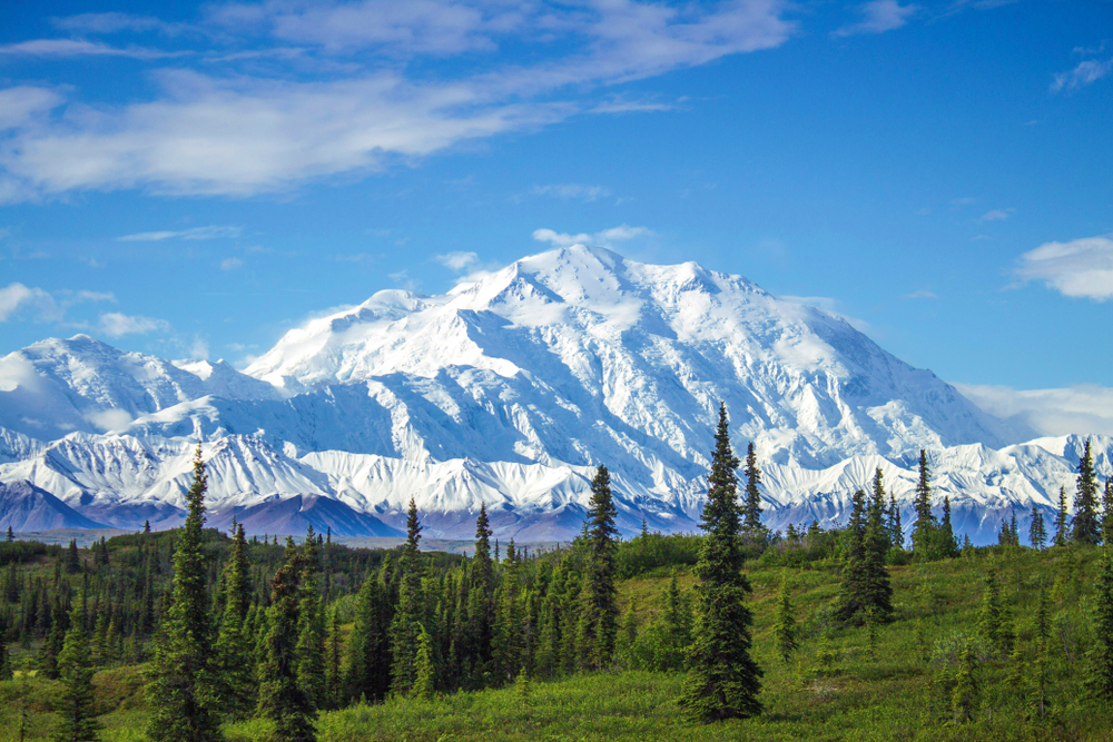 Denali National Park