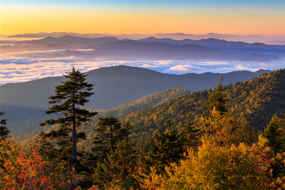 Great Smoky Mountains National Park