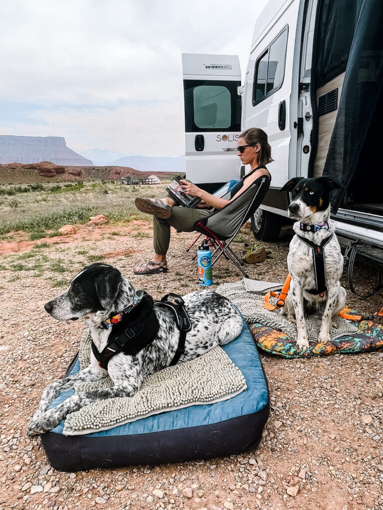 a woman relaxing at her campervan with dogs