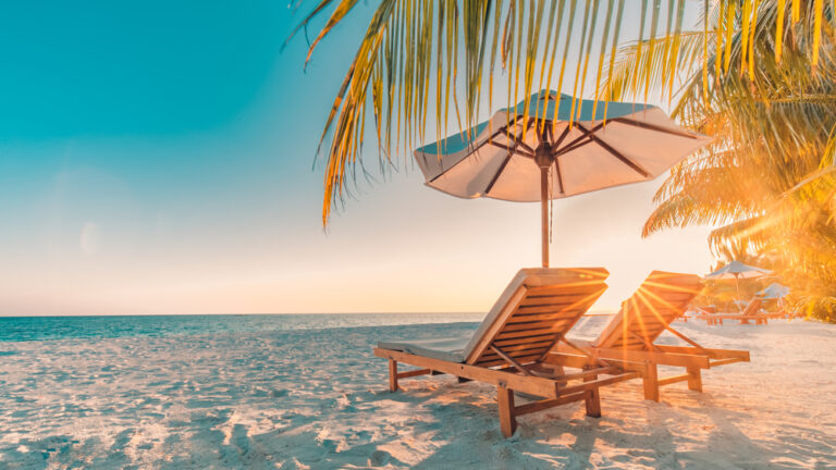 beach chairs under palm trees looking over the ocean