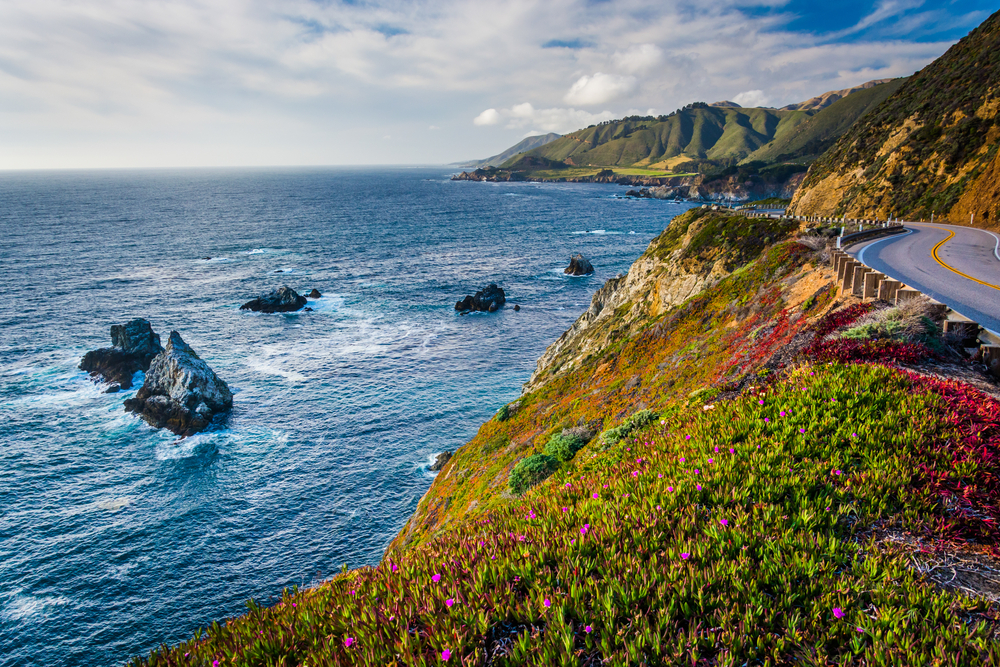 rocks and ocean off the coast of Highway 1