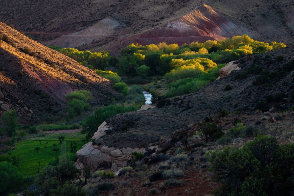 Capitol Reef National Park