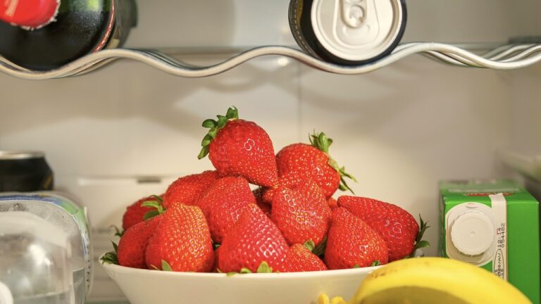 Food inside RV refrigerator