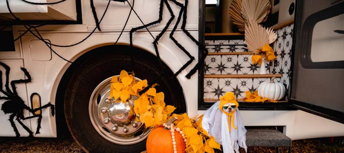 A dog dressed up for Halloween camping and posed in front of an RV