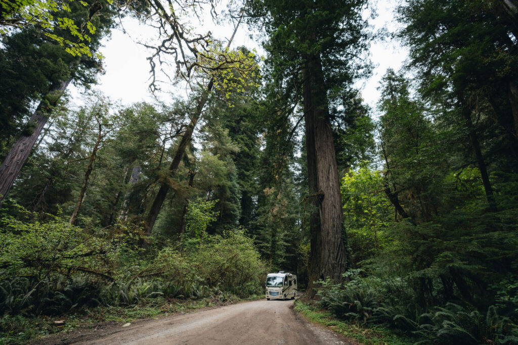 an RV on a forest road