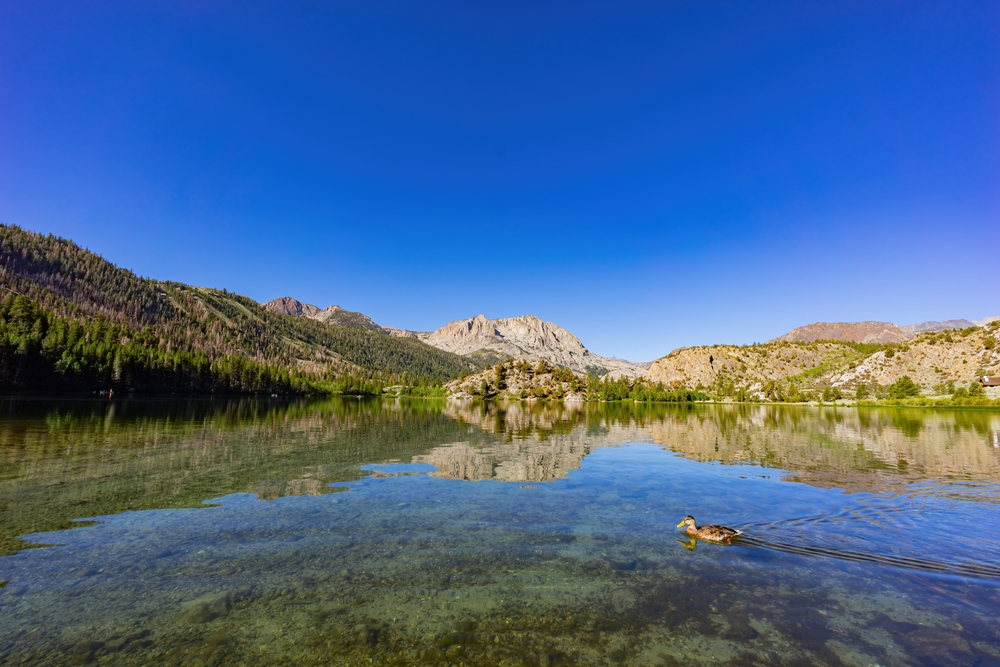 June Lake