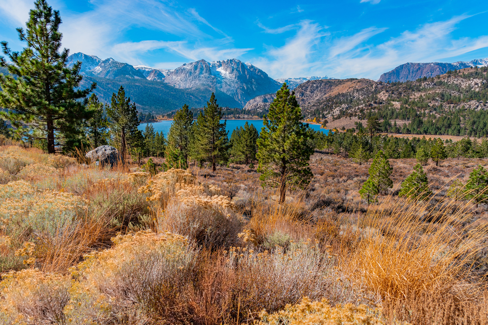 June Lake