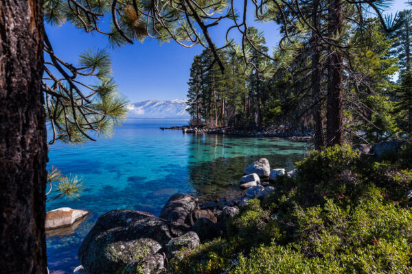 15 Best Campgrounds and RV Parks in Lake Tahoe