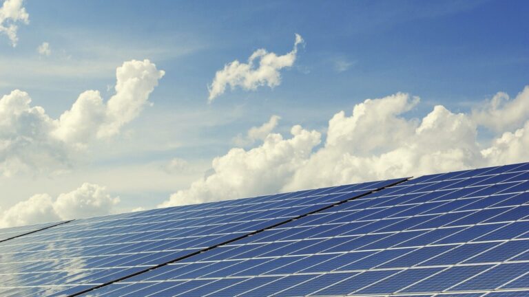 Solar panels pointing to the sky